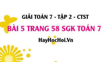 Giải bài 5 trang 58 Toán 7 tập 2 SGK Chân trời sáng tạo